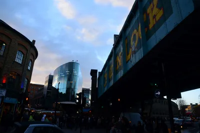 DSC_0445 (Large).JPG